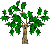 Holly Tree or Bush
