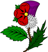 Rose and Thistle Conjoined