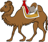 Camel Saddled