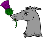 Greyhound Hd Holding Thistle