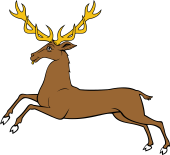 Stag Courant