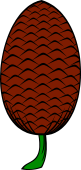 Pine Cone or Pine Apple