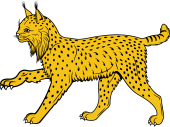 Lynx Passant