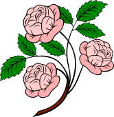 Garden Roses (3) Stalked-Leaved