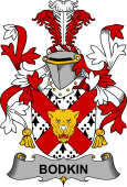 Irish Coat of Arms for Bodkin