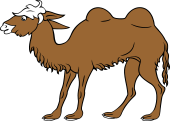 Camel Allocamelus (Ass Camel)