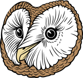 Barn Owl Head (Yellow)