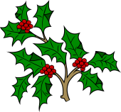 Holly Branch Fructed