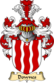 Irish Family Coat of Arms (v.23) for Downes