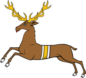 Stag Courant Belted or Sangle