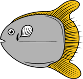 Moon Fish