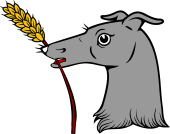Greyhound Hd Holding Wheat Stalk