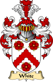 Irish Family Coat of Arms (v.23) for White or Whyte