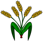 Wheat Stalks (5) Bladed