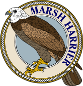 Marsh Harrier or Moor Hawk-M
