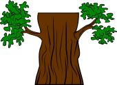 Tree Stock 4