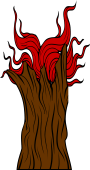 Tree Stock Flammant