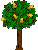 Oak Tree