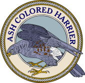 Ash Colored Harrier-M