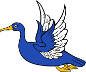 Cormorant Volant
