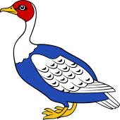 Barnacle Goose