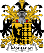 Italian Coat of Arms for Montanari