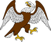 Eagle Gaze Aloft-Wings Surgeant