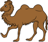 Camel Passant