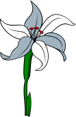 Flower of the Flag (France-Lilly)