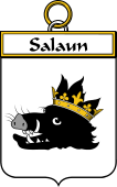 French Coat of Arms Badge for Salaun