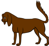 Bloodhound Statant