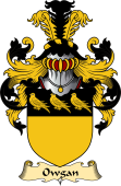 Irish Family Coat of Arms (v.23) for Owgan