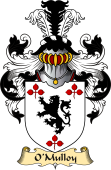 Irish Family Coat of Arms (v.23) for O'Mulloy or Molloy