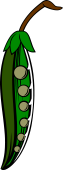 Pea-cod (or pod)