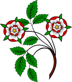 Tudor Rose (2) Stalked-Leaved