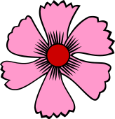 Carnation or Pink