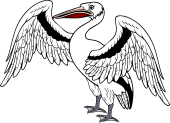 Pelican Rising