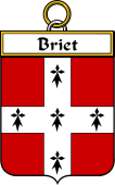 French Coat of Arms Badge for Briet