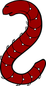 Palmer, or Palm worm