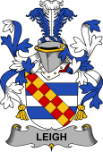 Irish Coat of Arms for Leigh or McLaeghis