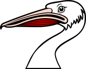 Pelican Head Couped