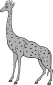 Camelopard