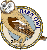 Barn Owl (Yellow)-M
