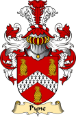 Irish Family Coat of Arms (v.23) for Pyne