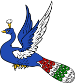 Peacock Volant