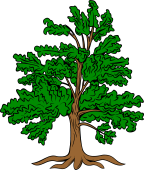 Beech Tree Eradicated
