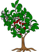 Cherry Tree Eradicated