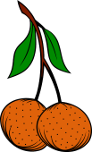 Oranges (2) Stalked-Leaved