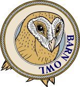 Barn Owl Head-M