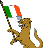 Demi Wild Cat Holding Irish Flag